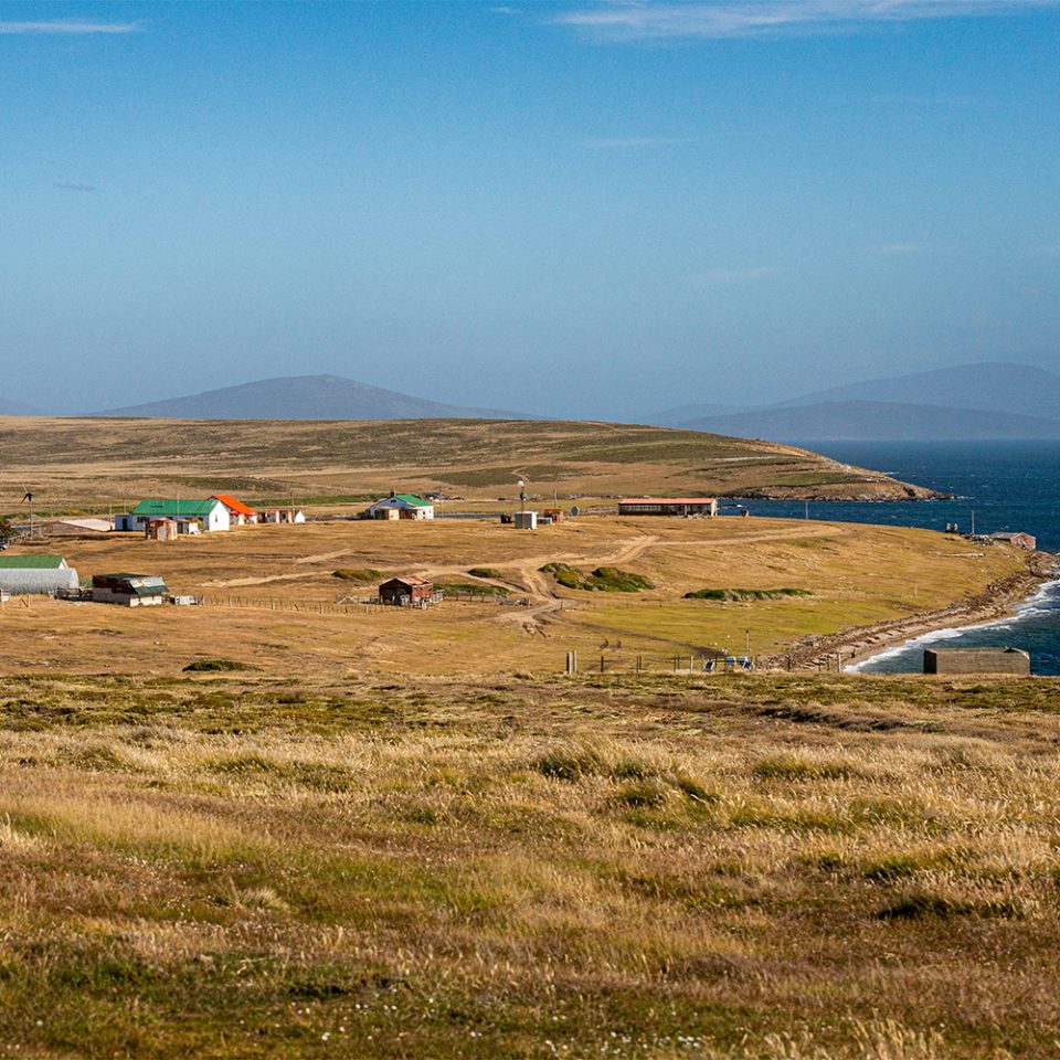 Houses along Falklands coast