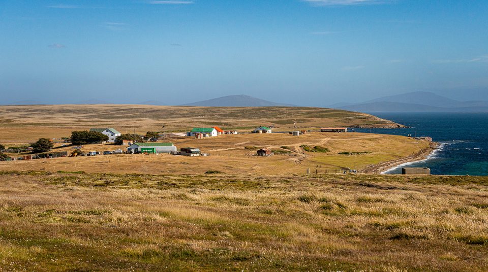 Houses along Falklands coast