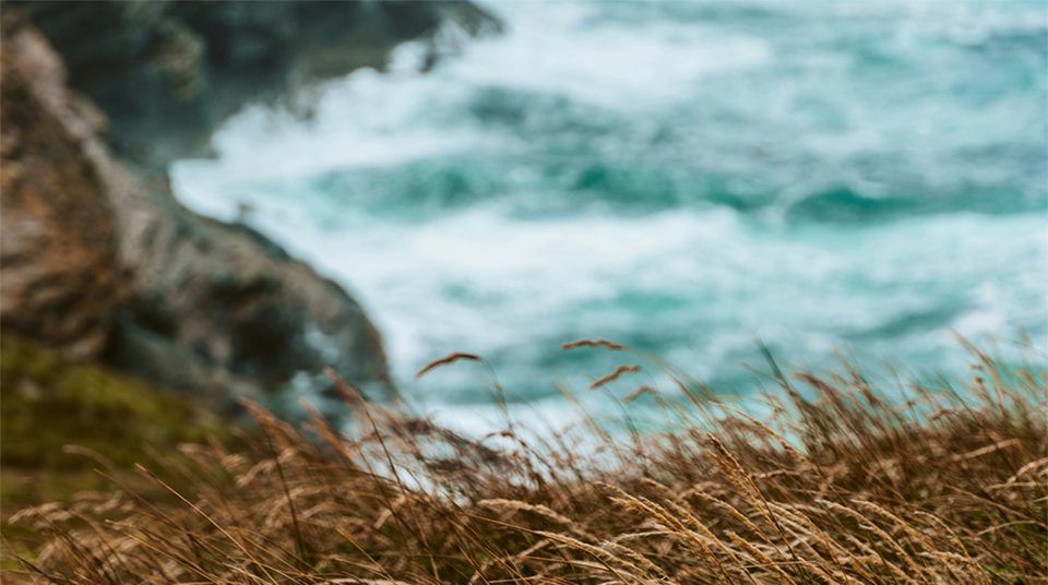 Windy coastline