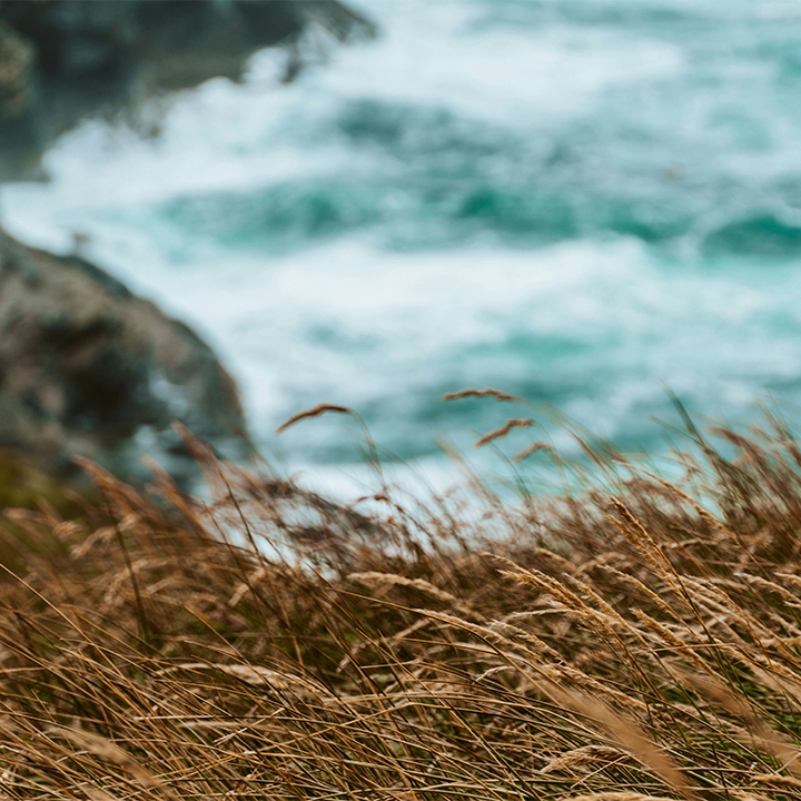 Windy coastline
