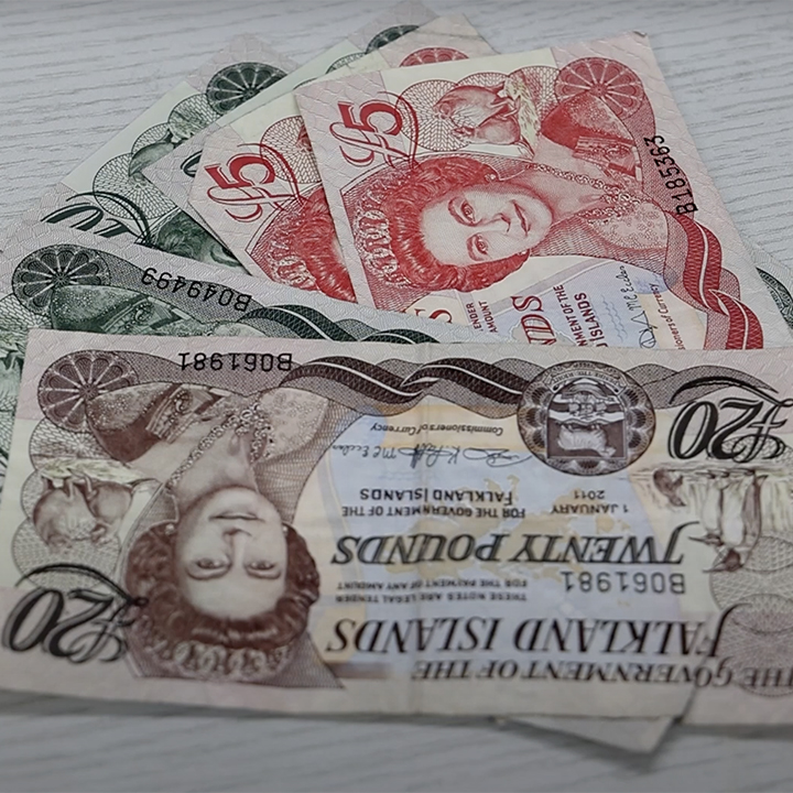 FI currency