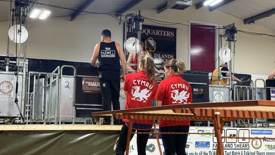 Shearing Competition